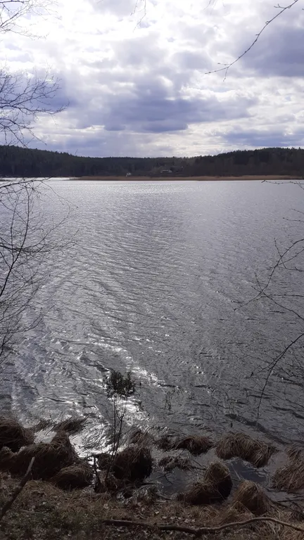 Дачный домик с Банькой в Карелии