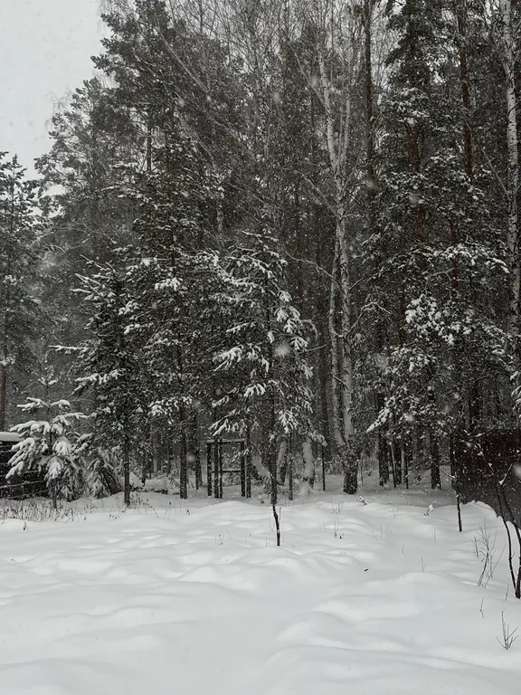 Лесной сканди домик