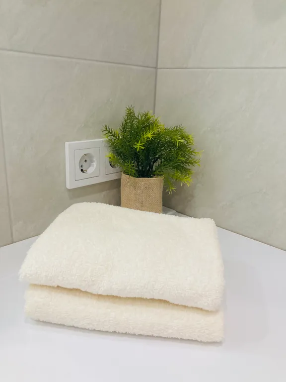 Просторные VIP Апартаменты в самом центре