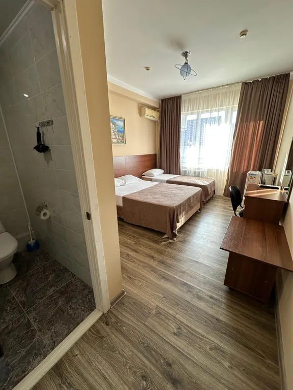 Трёхместный номер с удобствами и балконом