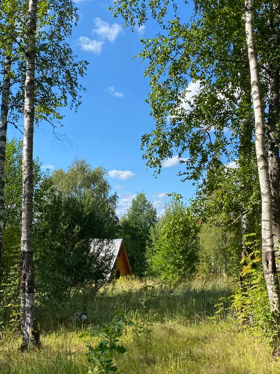 Дом на берегу реки с видом на закат