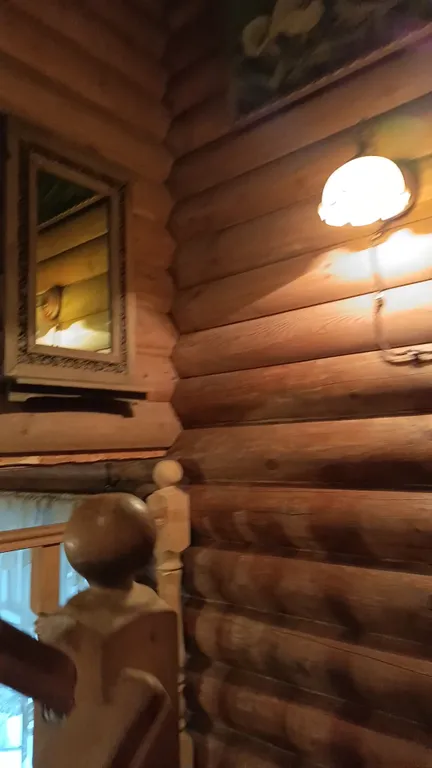 Изба (дом) из экологически чистого бревна под камышовой крышей в лесу