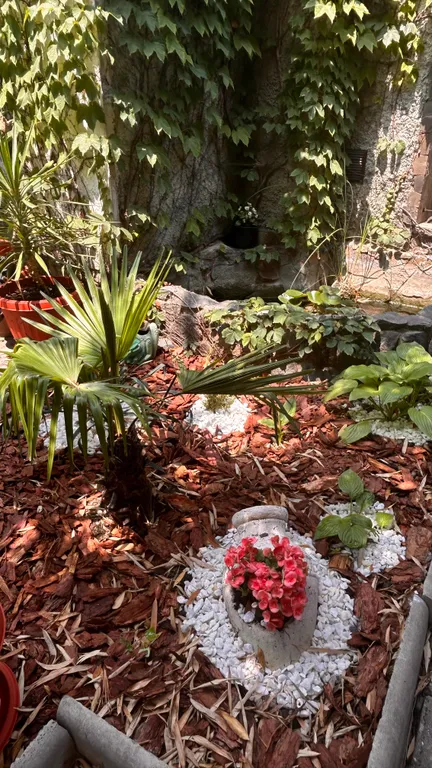 Домик с уютным двориком, до моря 15-20 минут пешком