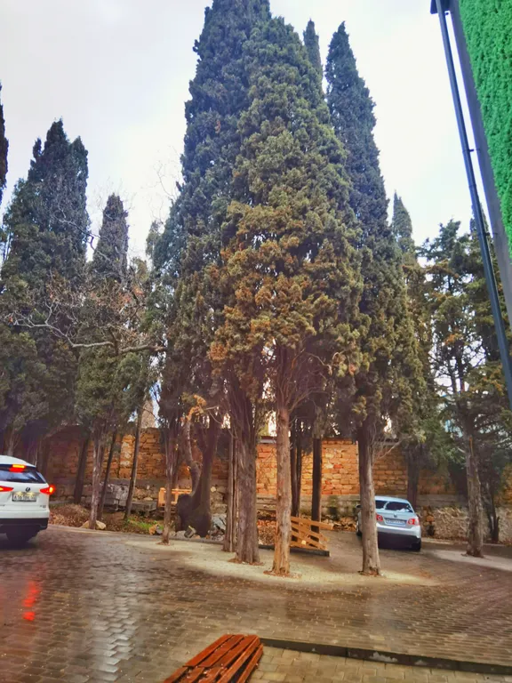 Апартаменты у моря