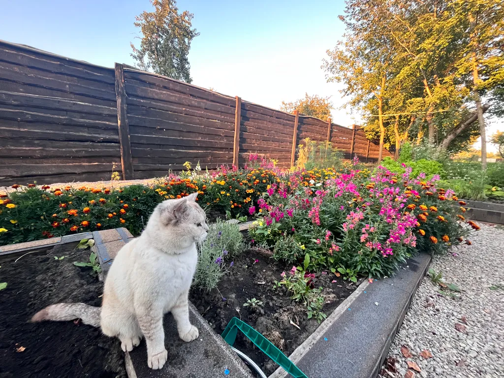 Уютный котедж для отдыха