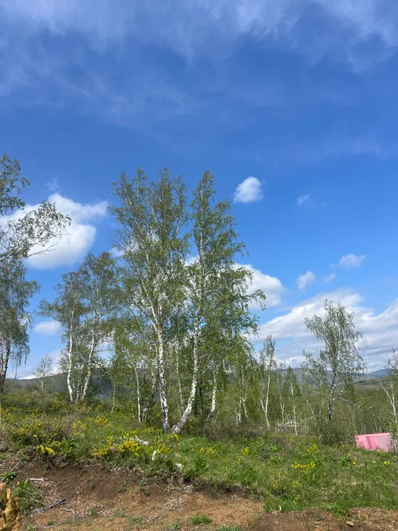 Уютная квартира напротив ГЛЦ Банное