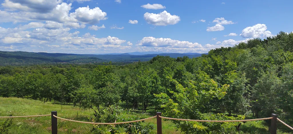 Премиум-отдых: панорамный купол и горячий бассейн-джакузи