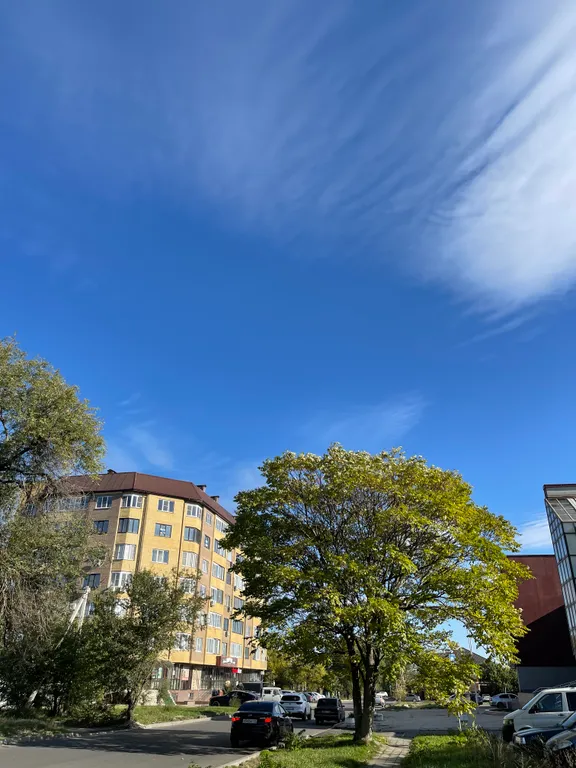 Новая, уютная квартира