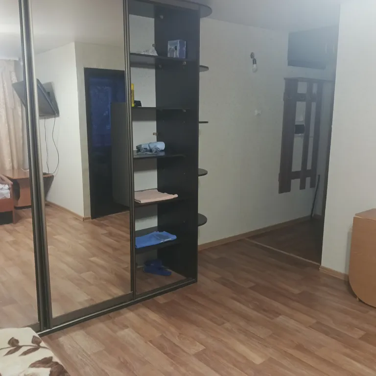 1-комнатная квартира в Телецентре