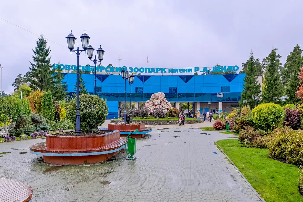Квартира Квартира 1 комнатная возле ЖД вокзала — Новосибирск
