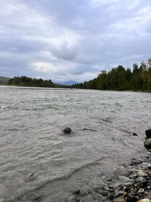 Кедровый дом со всеми удобствами большой террасой, баней