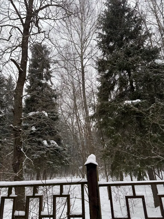 Коттедж Милый тихий домик в лесу ждет Вас — Степаньково