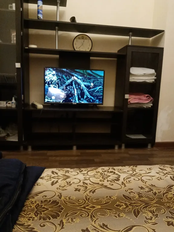 Квартира Уютная квартира у моря — Сухум