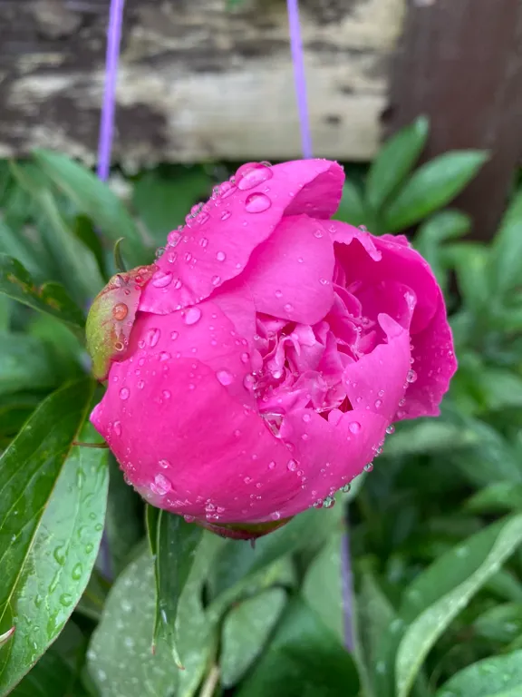 Коттедж Отдельный домик с террасой и зоной барбекю — Калининград