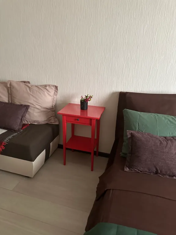 Уютная однокомнатная квартира