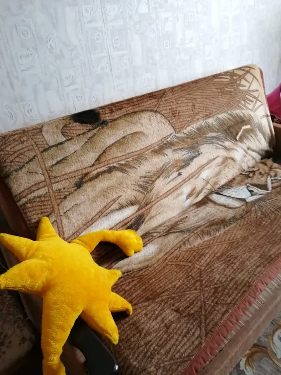 Квартира рядом со склоном