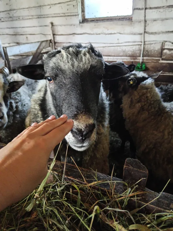 Дом в деревне