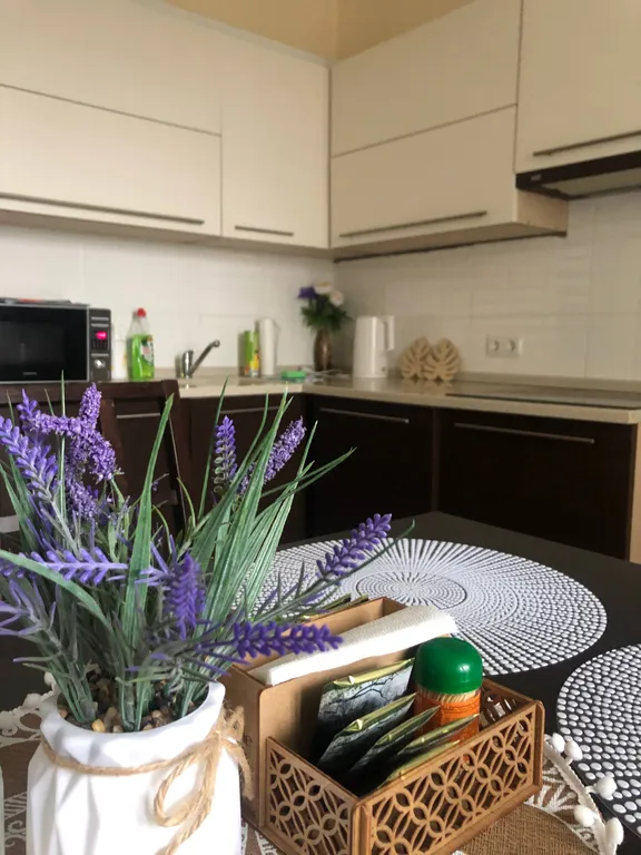 Квартира Квартира с шикарным видом — Калининград