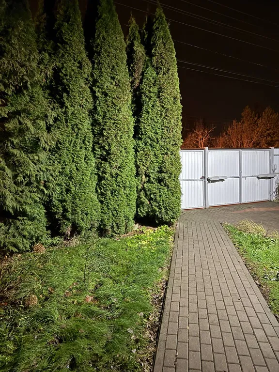 Дом с камином на дровах, баня на берёзовых дровах