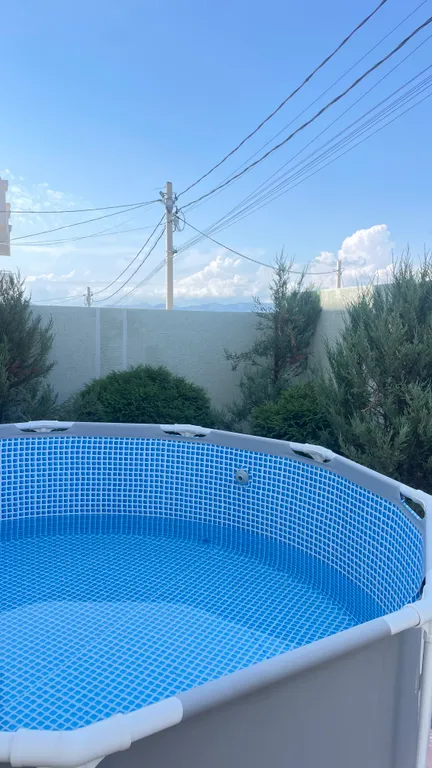 Дом для встречи 2026 года )