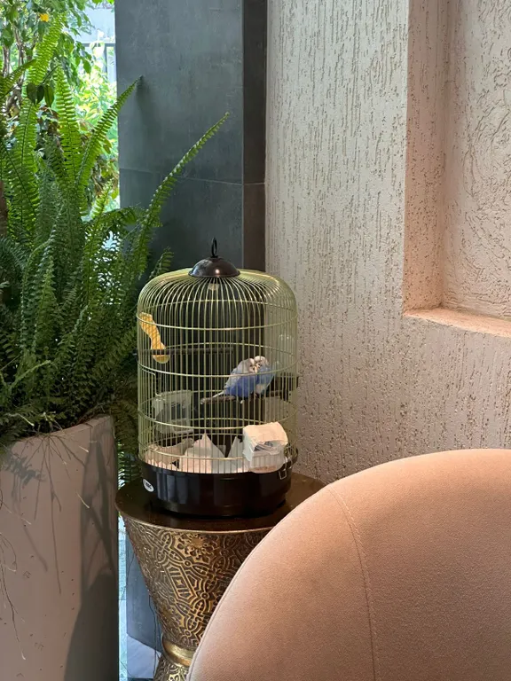 Уютная квартира с дизайнерским ремонтом в самом центре города