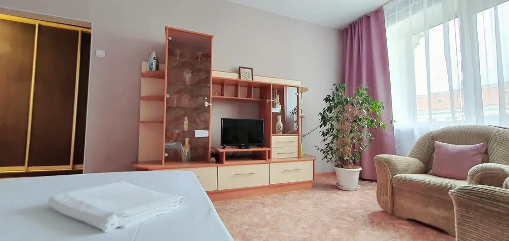 Просторная квартира в центре у парка Изумрудный и площади Октября