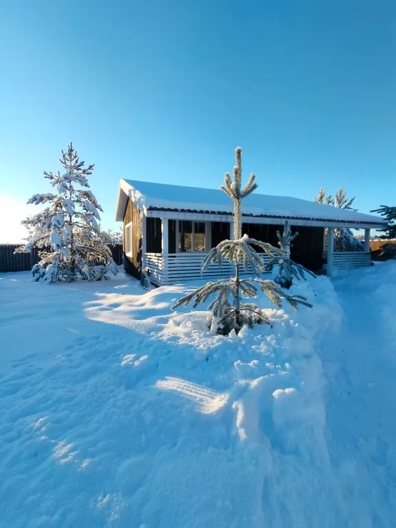 Коттедж Уютный дом у озера — Волосово