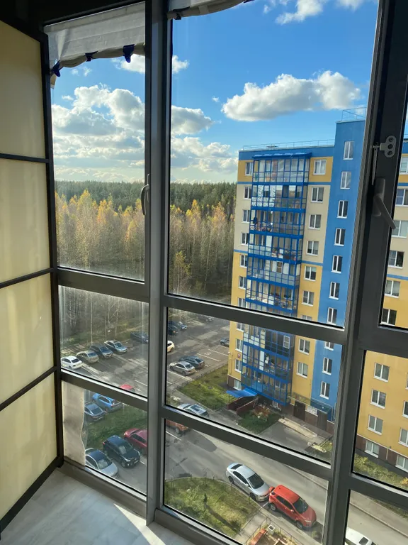 В лесной тиши