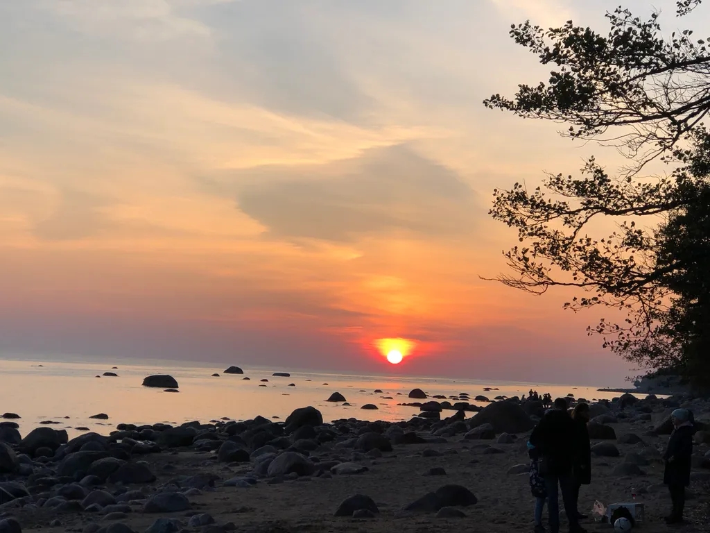 Домик в лесу