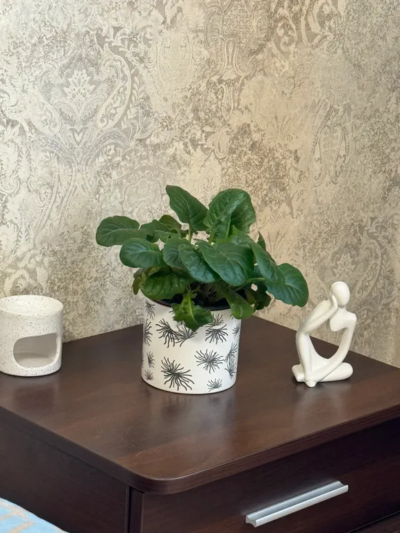 Апартаменты с видом на город