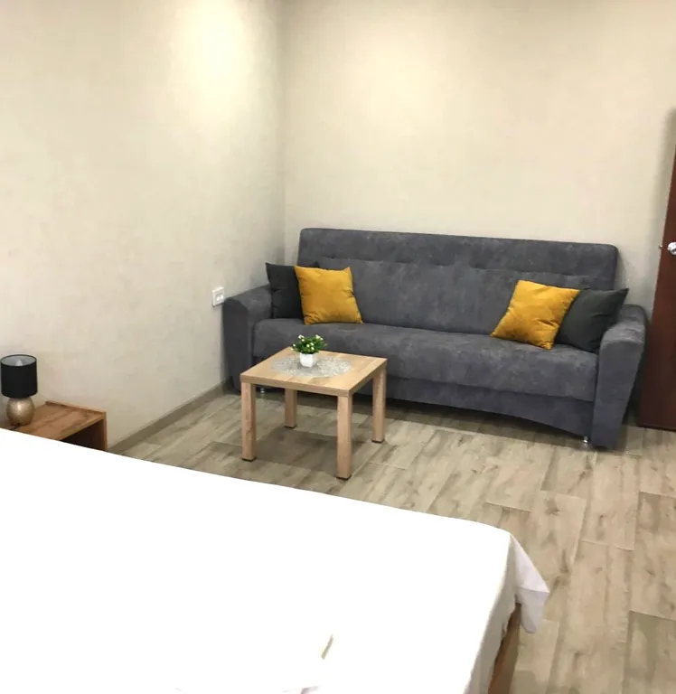 Уютная 1-комнатная квартира в центре города