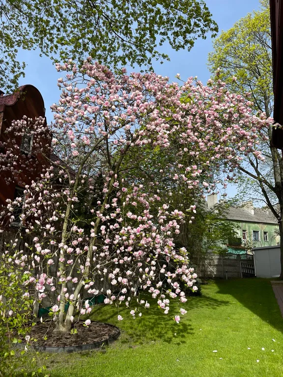 Квартира в доме начала ХХ века в старинном районе Амалиенау