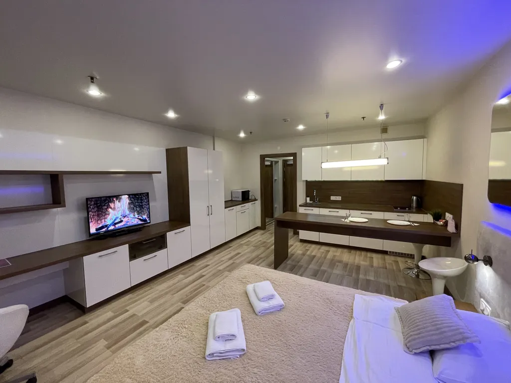 Квартира-студия PlaumHotel
