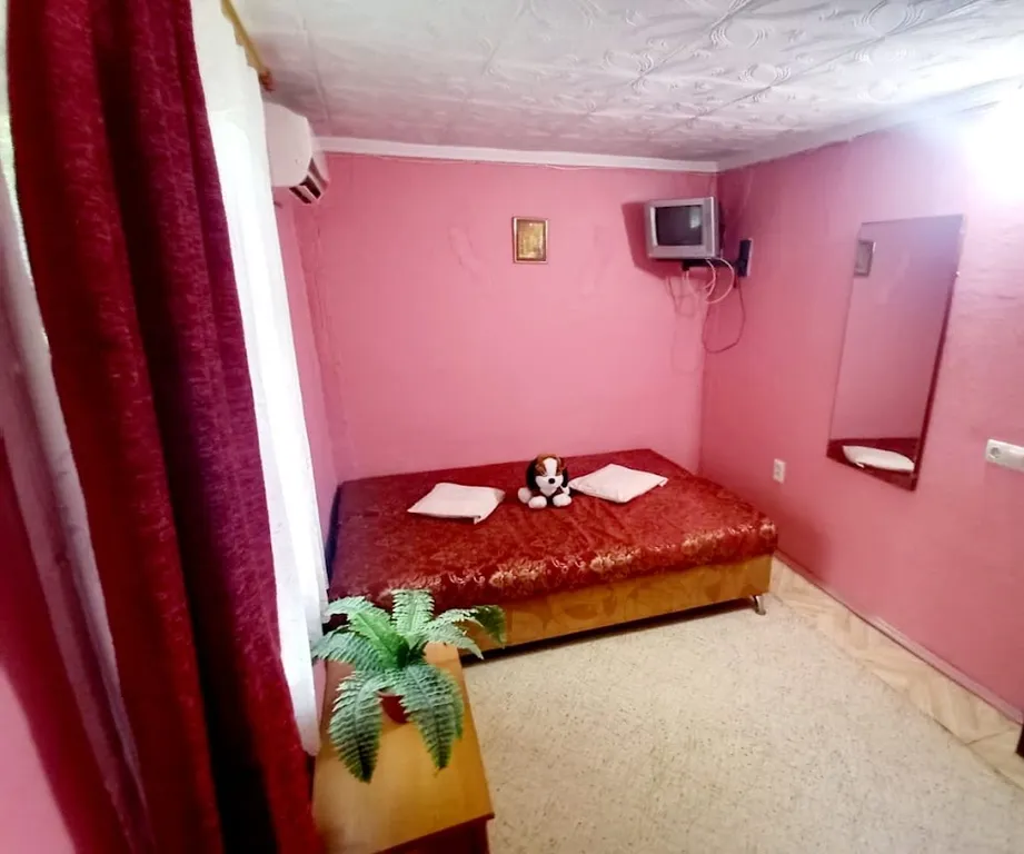 Квартира Отдельный домик в частном секторе — аренда посуточно в Алушта