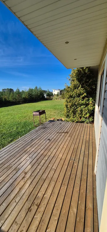 Куркиёки у леса