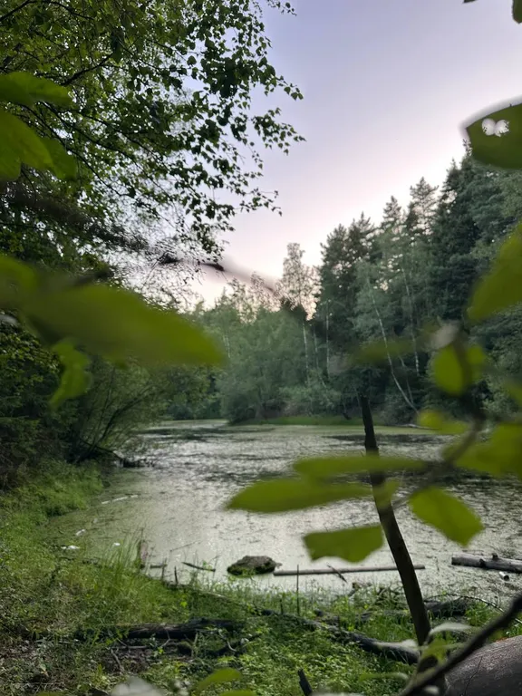 Апартаменты в частном доме в Щелковском районе МО