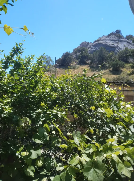 Коттедж Дом у башни — аренда посуточно в Судак