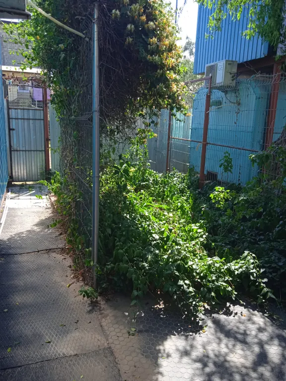 Коттедж Дом на 11 гостей — аренда посуточно в Голубицкая