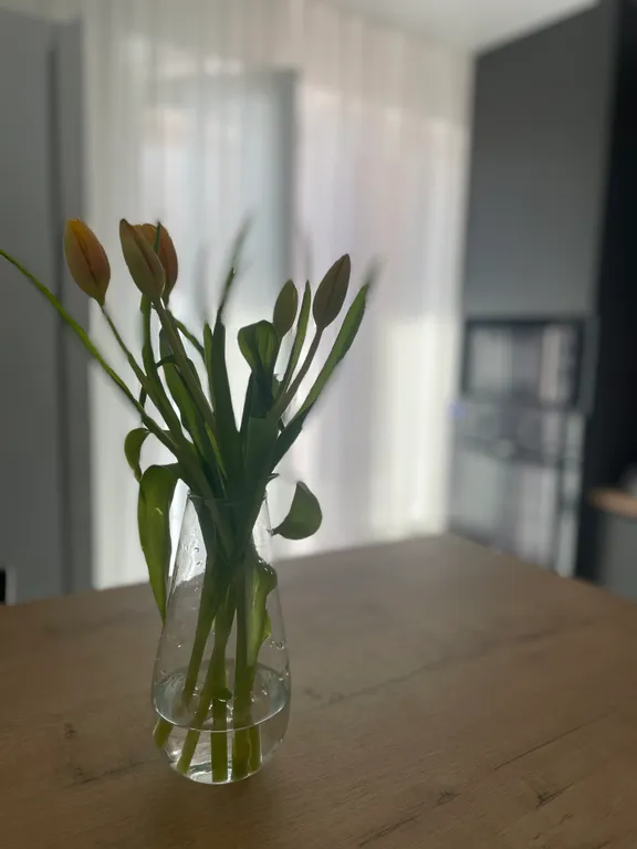 Уютная современная квартира рядом с рекой великая