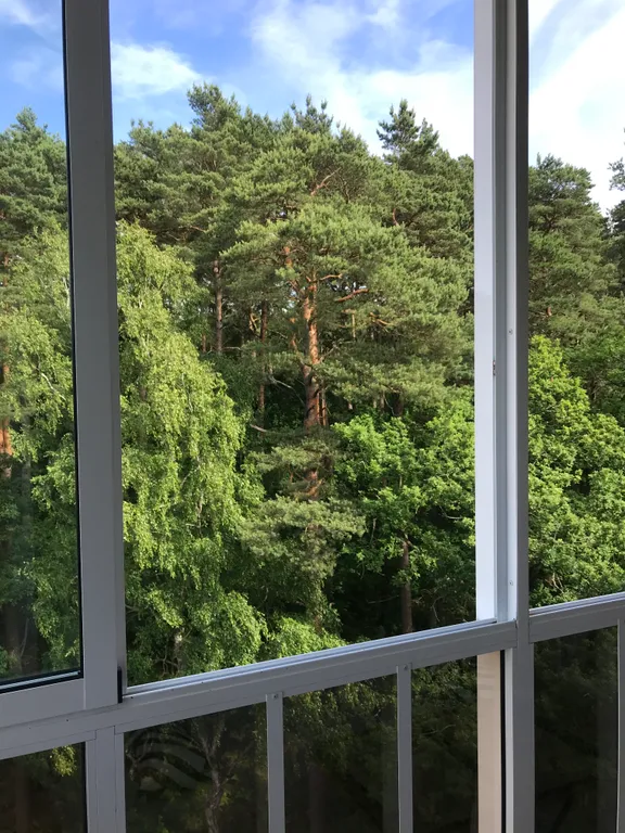 Квартира Апартаменты с видом на лес — аренда посуточно в Светлогорск