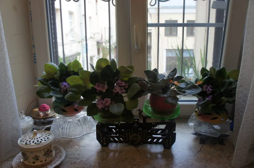 Квартира Уютная комната в центре города — Санкт-Петербург