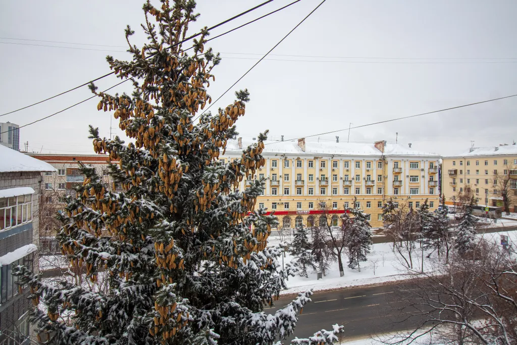 Уютная квартира в центре города