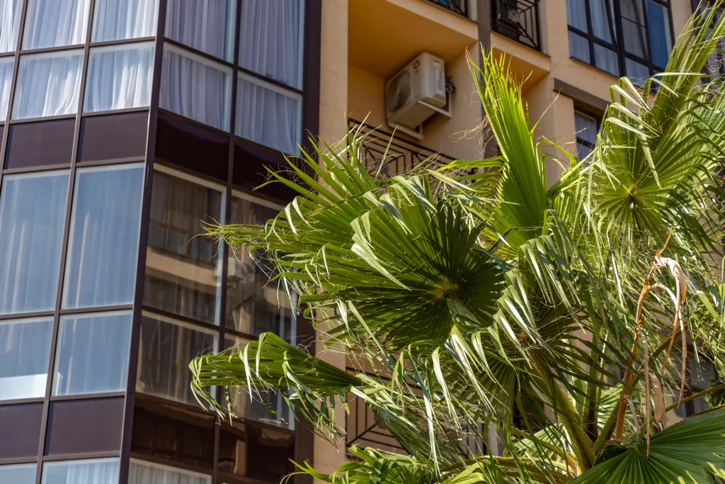 Квартира с новым ремонтом в пешей доступонсти до моря