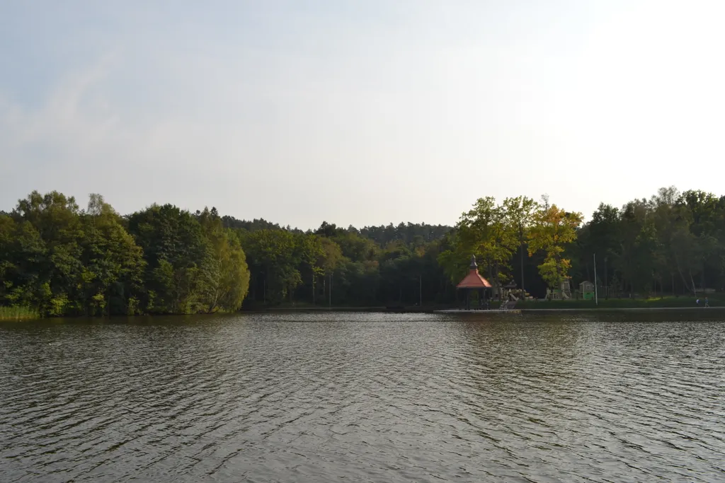 Квартира Апартаменты с большой террасой — Светлогорск