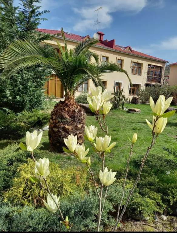 Трехкомнатный апартамент у моря  в КК Орхидея парк