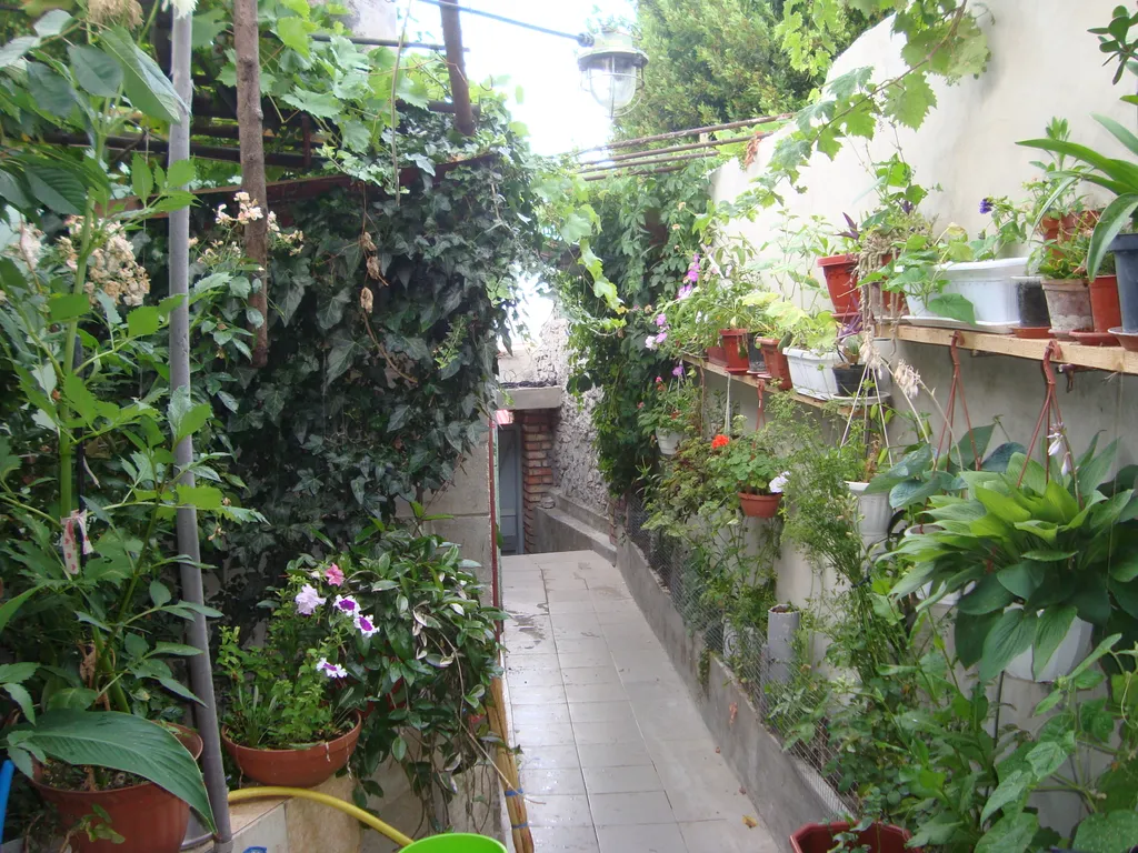 Аисты с видом на море