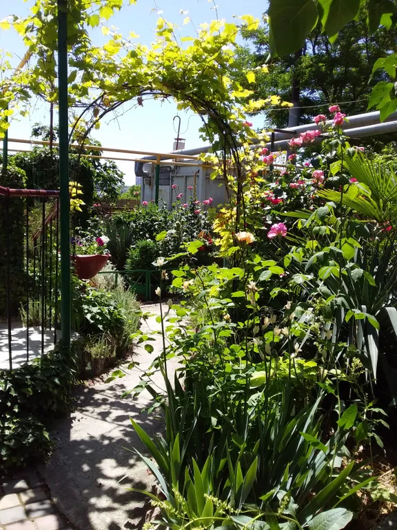 Комната у моря