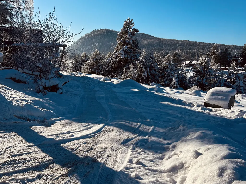 Гостевой дом У Беспаловых с видом на реку Бия
