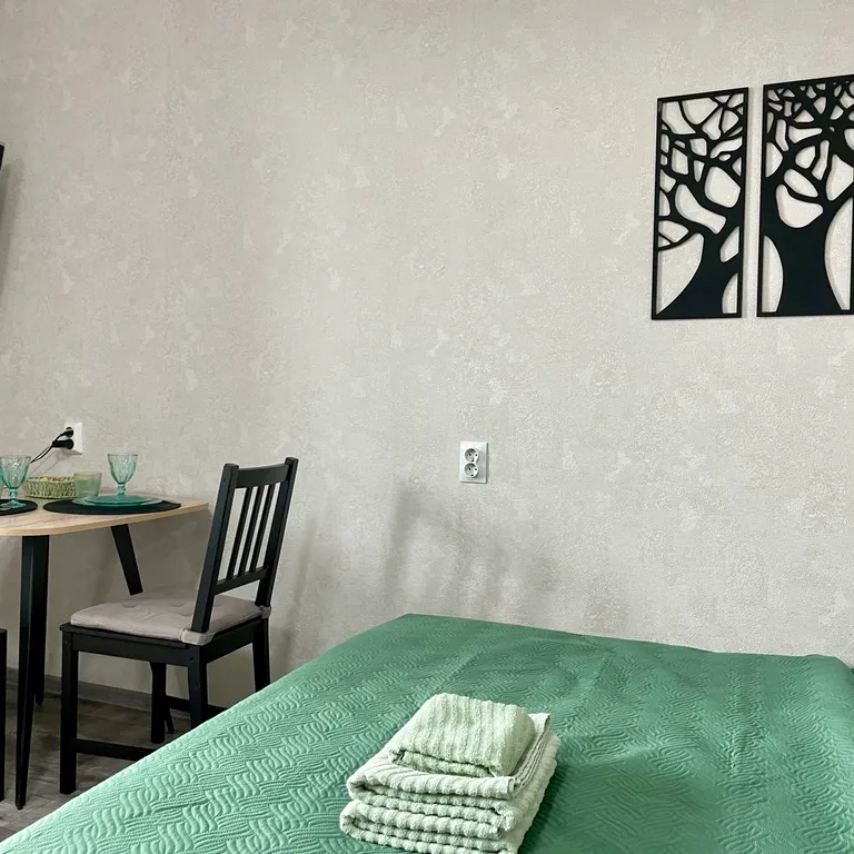 Студия с видом на озеро