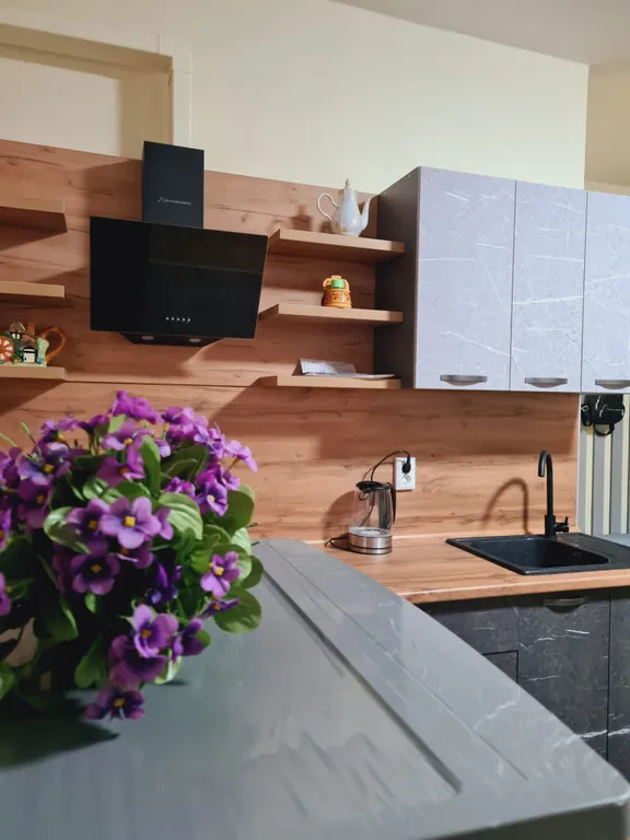 Квартира Апартаменты двухкомнатные, четырехместные с кухней — Анапа